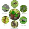 Boromine Fruit Fly Traps - 60 Pack Non-Toxic Green Stick