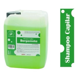 Productos Mart Mexico  Shampoo con Extracto Natural de Bergamota Productos Mart México (10 Litros)