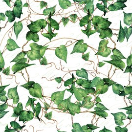 20 Napkins Natural Ivy Leaves | Ivy | Plant | Table Decoration | Decoupage | Napkin Technology 33 x 33 cm