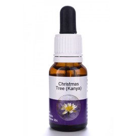 Living Essences Christmas Tree 15ml