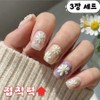 Arenshop self-nail nail sticker, 1 piece, daisy + leaf / 아렌샵 셀프 손톱 네일 스티커, 1개, 데이지+잎