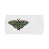 'Luna Moth' Pill Box with Tablet Splitter (PI00032477)