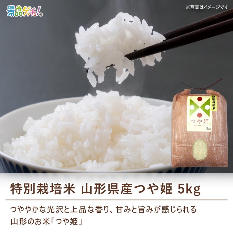 Prize Set (Gold Prize Health Rice, Hokkaido, Yumepirika, 11.0 lbs