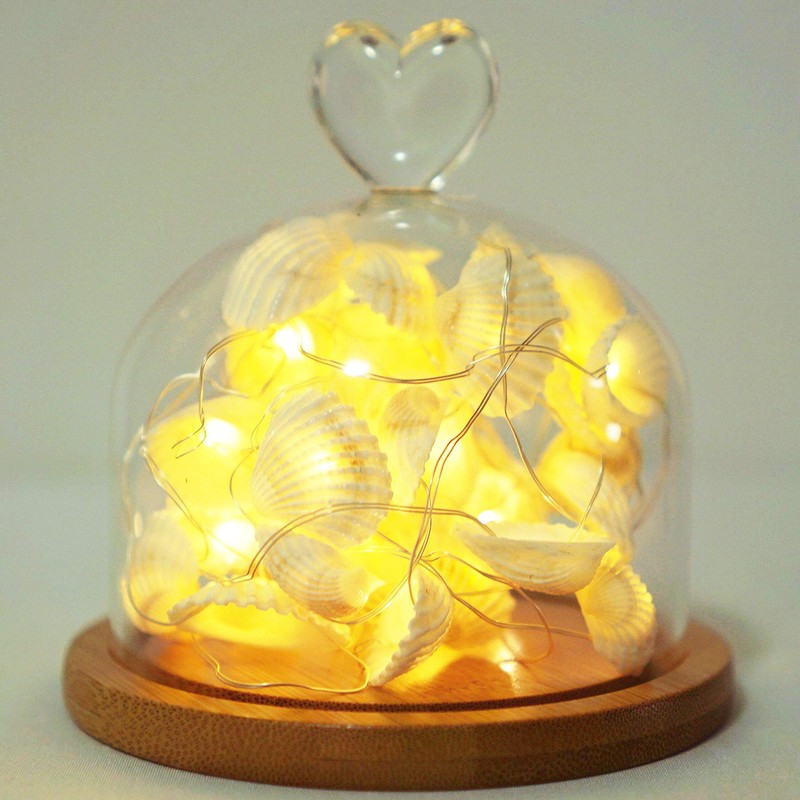 Cynzia Natural Seashells String Lights, 40LED Beach Decoration USB Plug