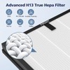 4-Pack HAP603 Replacement Filter Compatible With ECOSELF HAP603 & HAP603WF