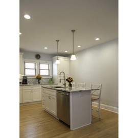 Design House 587709 Torino Traditional Indoor Light Dimmable with Snow Glass, Pendant, Satin Nickel