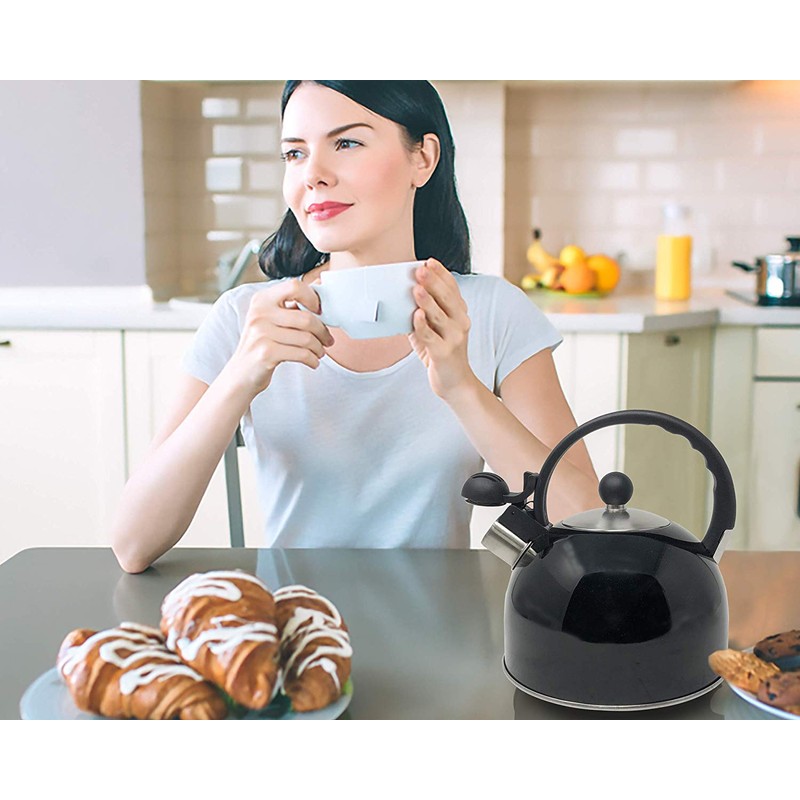 Venoly 2.5 Liter Whistling Tea Kettle - Modern Stainless Steel