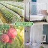 JEYODA Garden Netting Plant Covers Net Ultra Fine Mesh Pest