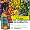 GARDENERA Professional Organic Liquid Kelp Spray for POTHOS Plants -