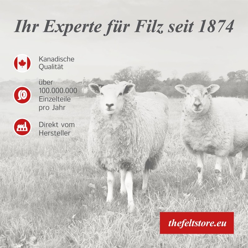 2 Inch Diameter Heavy Duty Felt Pads - Tan, 12