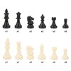 Standard Chess Pieces, International 32 Standard Chess Game Pieces Set