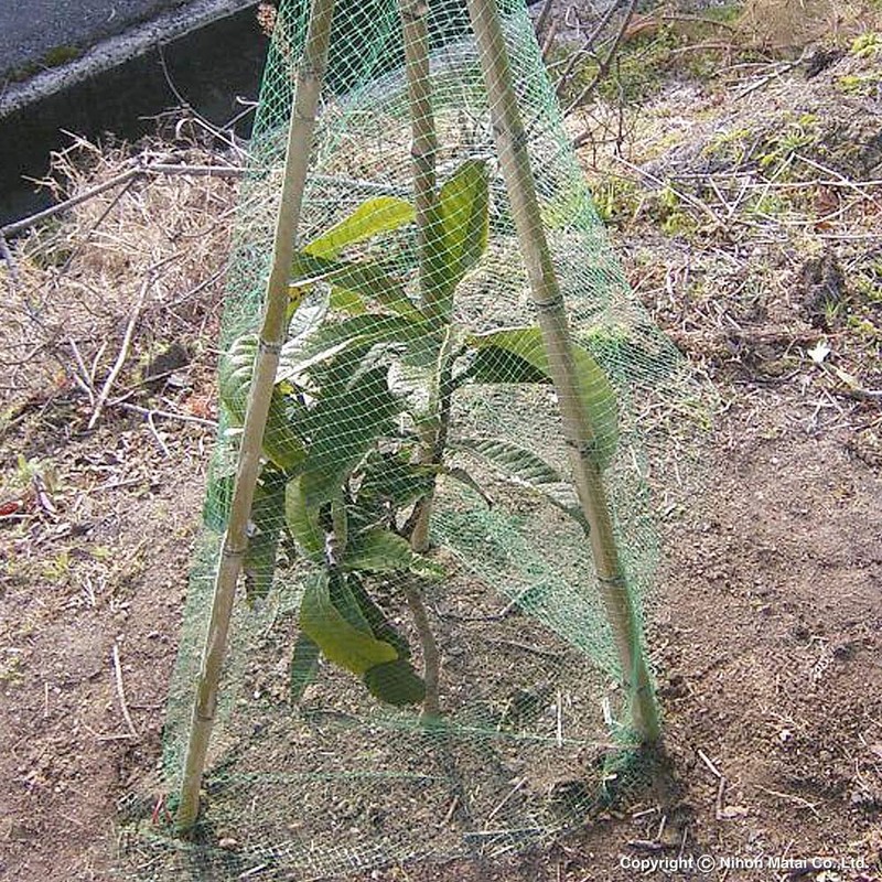 Minimalist Sol (marsol) Soft Butterfly Bird 10 mm Square Eyes