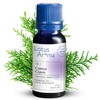 Lotus Aroma Essential Oil, Cypress, 0.5 Fluid Ounce