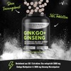 EXVital® Ginkgo + Ginseng, 365 Tabletten, 50:1 Pflanzenextrakte, hochdosiert -