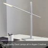 Aspen Creative 40041-1, 1-Light High Organizer Desk Lamp with Metal