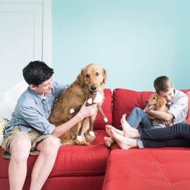 ZippyPaws - Spencer The Crinkle Monkey Dog Toy, Squeaker and Crinkle Plush Toy