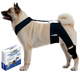Oak Forest Dog Knee Brace, Collar & Leash Set | Dog Knee Brace for Torn ACL Hind Leg & Front Leg | Comprehensive Support for Optimal Comfort & Stability for All Dogs | Size: S M L (M)