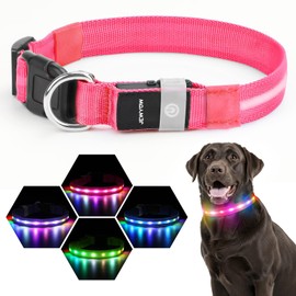 LED Dog Collar, Light Up Dog Collar, USB Rechargeable - Brightest Dog Lights for Night Walking, 6 Light Modes, Adjustable for Dog Safety(Medium, Candy Pink)
