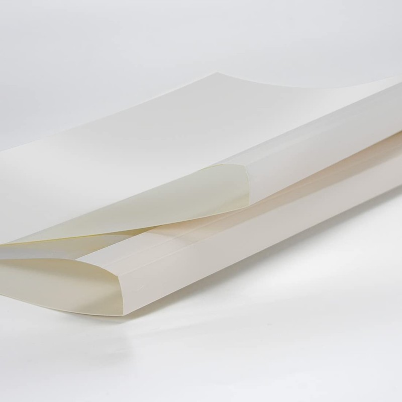 RAYSON Thermal Binding Covers, 6mm, A4, 50 Sheets Binding Capacity,