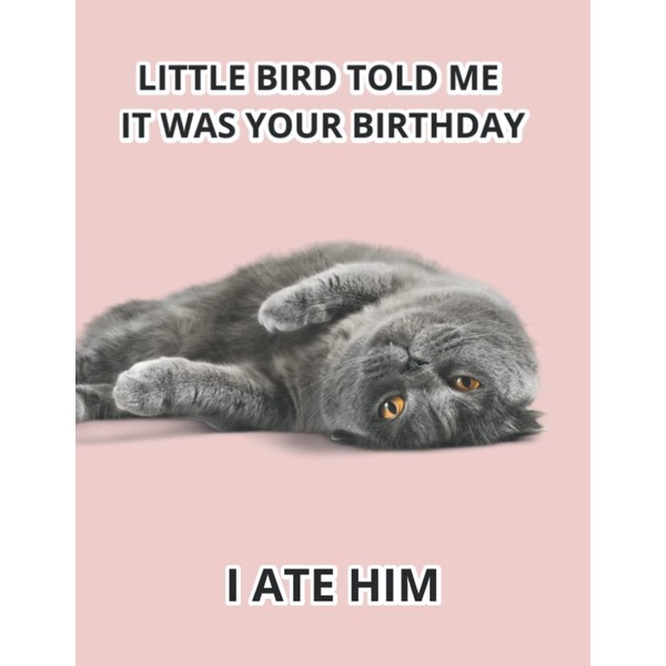  Funny Cat Notebook For Cat Lovers: Cat Meme Composition