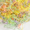 Gloreyan 1LB Easter Grass Crinkle Cut Paper Shred, Iridescent Easter