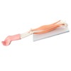 Arm Moving Model Anatomical Elbow Joint Motion Model Primary School