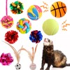 Fejapa 11 pcs Ferret Squeaky Toys Balls Squeaker Toys Teething