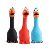 Squeaky Rubber Dog Chew Toy for Play & Training –