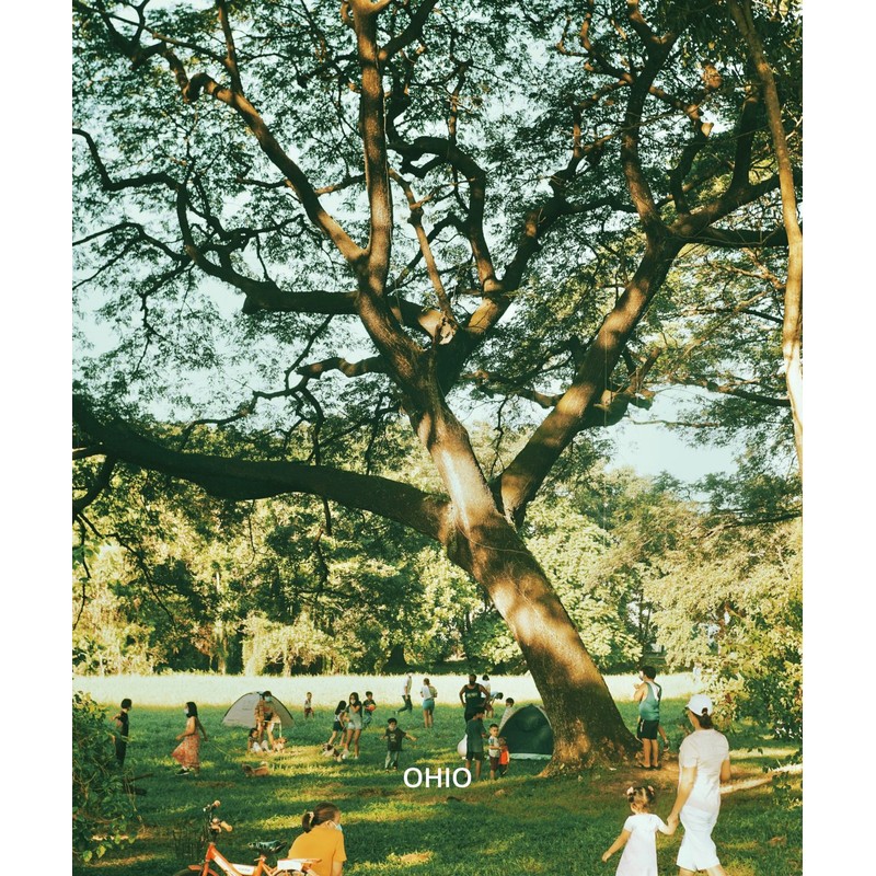 Omi Ohio 30/50/100ml