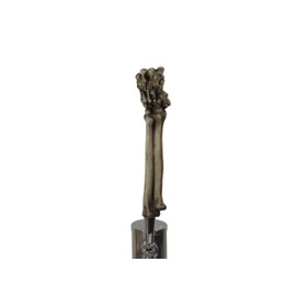 Kool Collectibles Realistic Skeleton Arm Sports Bar Beer Tap Handle Kegerator Resin Zombie Breweriana Bar