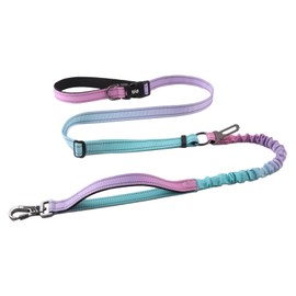 ZATRUA PET Running Leash Crossbody Free Hands Running Leash Multi-Functional Explosion-Proof Punch Leash Suitable for Big Dogs (Blue-Green Gradient)