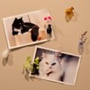 Nuvretk 2PCS Mini Glass Cat Whisker Vase - Fridge Magnet