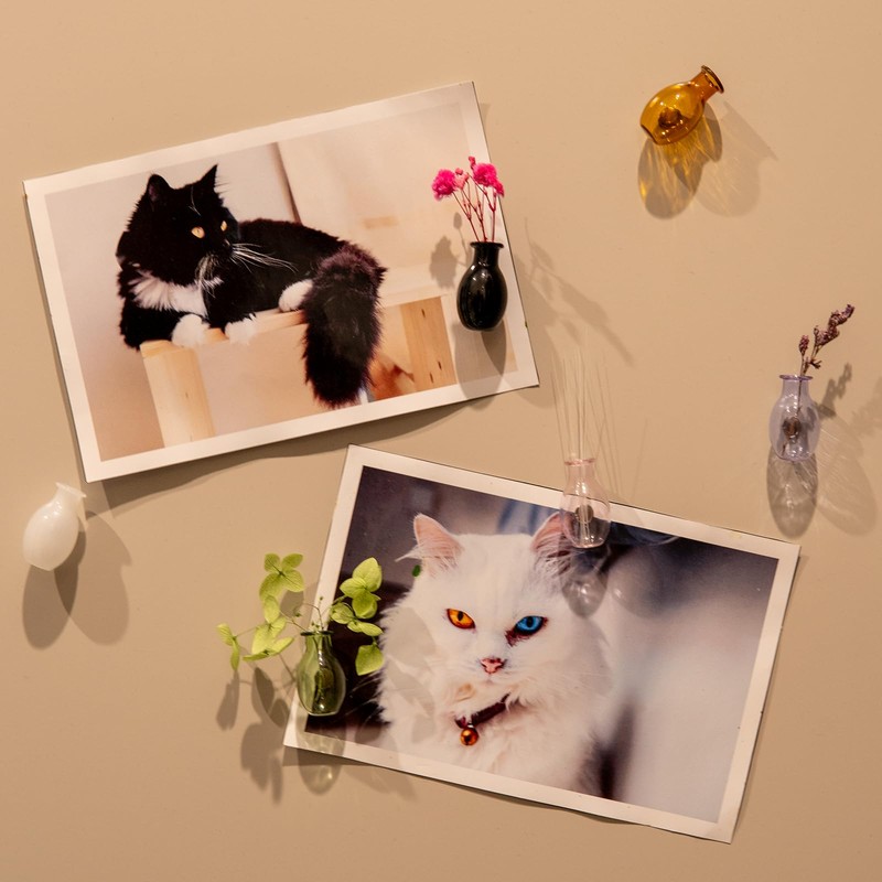 Nuvretk 2PCS Mini Glass Cat Whisker Vase - Fridge Magnet