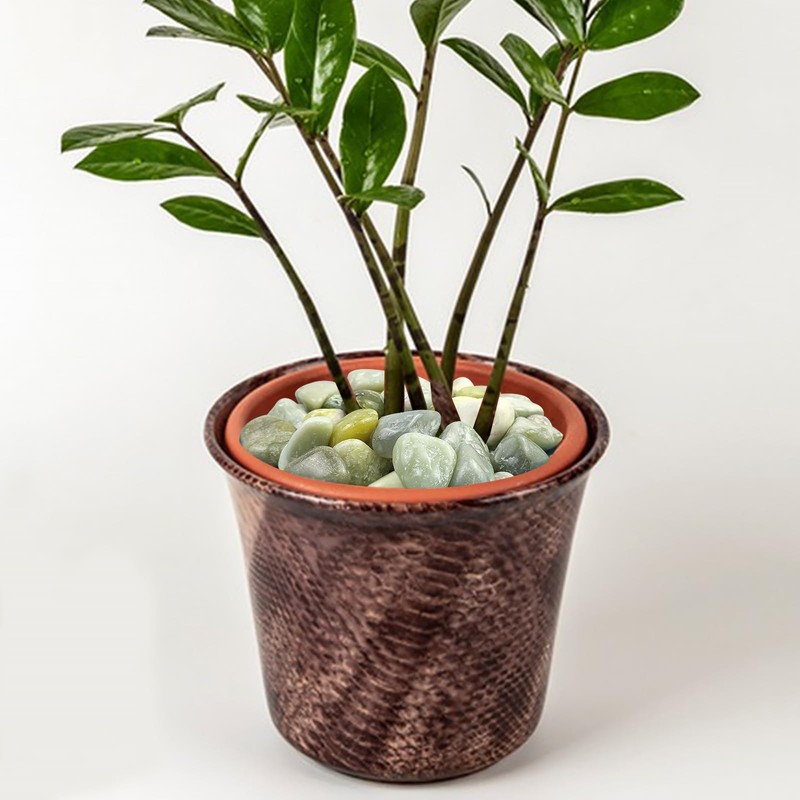 FANTIAN 5 lbs Green River Rocks for Plants, 2-3 Inch