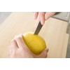 Global Ist Peeling Silver Blade Length 3.1 inches (8 cm)