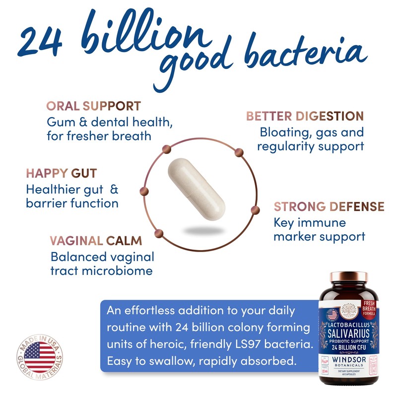WINDSOR BOTANICALS Lactobacillus Salivarius Probiotic Capsules - L Salivarius Probiotic