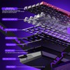 [New]Aula WIN68/WIN60 HE Magnetic Keyboard with Adjustable Actuation, Hall Effect