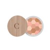 Couleur Caramel Mosaic Polvos 232 Fair Skin Tones 1Un