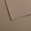 Canson Mi-Teintes Velvet Drawing Paper Sheet, Grey Brown, (260lb/430g), 1
