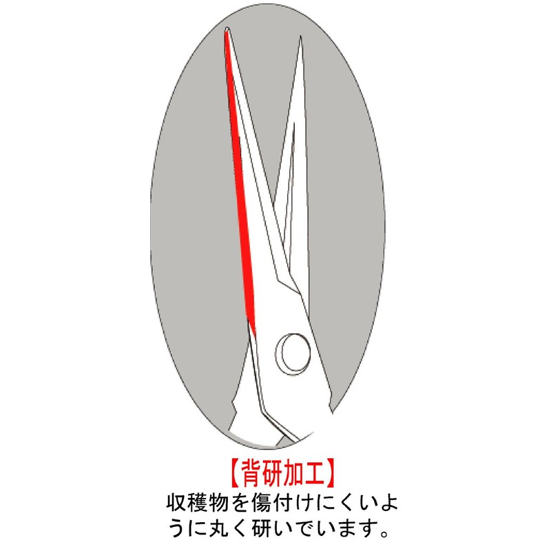 tikamasa Stainless 摘果 Scissor Tee – 500S