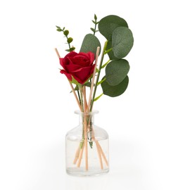 Botanique Rose & Eucalyptus Floral Fragrance Decorative Reed Diffuser Scents of Velvet Rose, Clove & Citrus (Red)