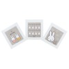 Skater OAC1T-A Hot Towel, Set of 3, Miffy