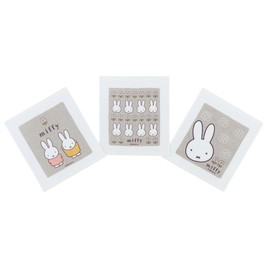 Skater OAC1T-A Hot Towel, Set of 3, Miffy