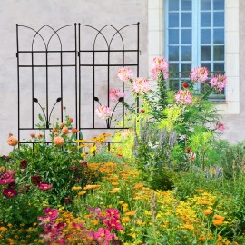2 Pack Rustproof Metal Garden Trellis 71\" X 17.7\" Outdoor Flower Support for Climbing Plants Premium Fencing & Trellis & Gatescolor: BLACK Color