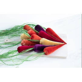 Single Velvet Carrot, Choose Your Colors, Spring Home Decor, Cottagecore Tablescape, Easter Decor, Farmhouse Charm, Spring Gift, Seasonal Accent