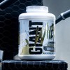 Giant Sports International Performance Edge Whey Upgrade 100 Whey Protena