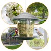 Hanging Bird Feeder Outdoor