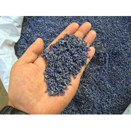 TooGet Fragrant Lavender Buds Natural Dried Lavender Flowers Wholesale, Ultra Blue Grade - 2 Pound