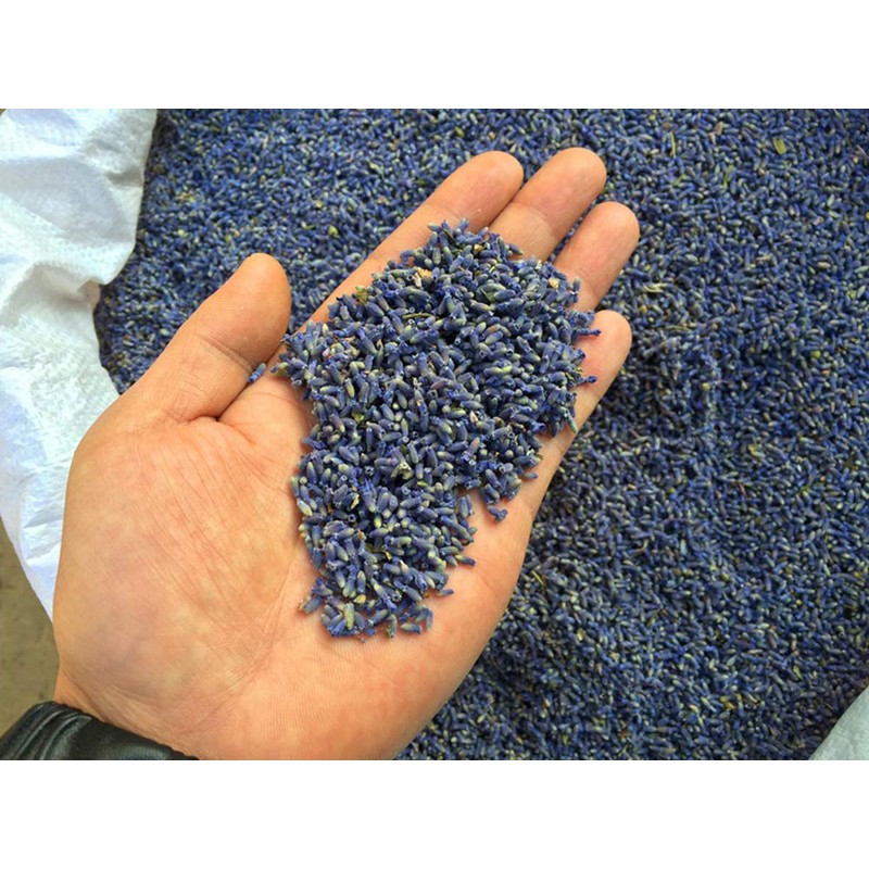 TooGet Fragrant Lavender Buds Natural Dried Lavender Flowers Wholesale, Ultra