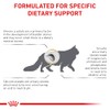 Royal Canin Urinary So Dry Cat para Gatos (El empaque